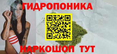 СК Гусь-Хрустальный