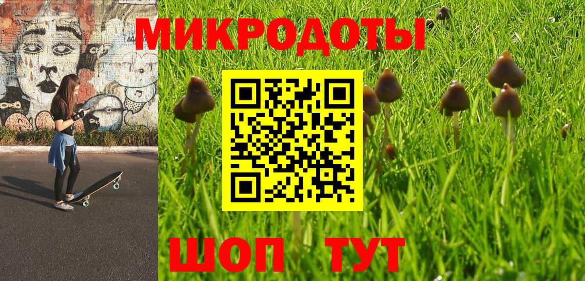 Псилоцибиновые грибы GOLDEN TEACHER  Галлюциногенные грибы Psilocybe  где можно купить   Вход с VPN  Моздок 